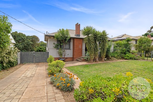 15 Margaret Avenue, NSW 2650