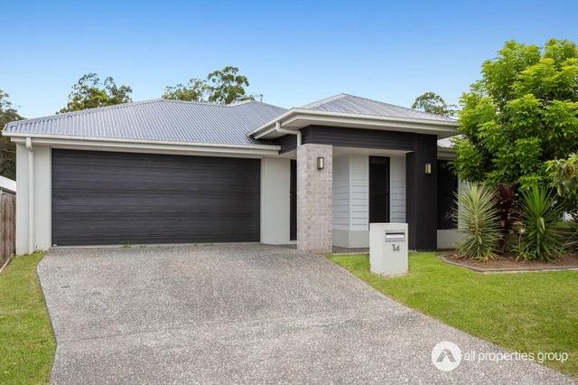 14 Rosewood Circuit, QLD 4207