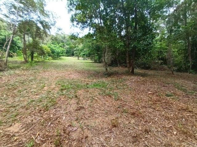 Lot 45 Ronald Road, Forest Creek, QLD 4873