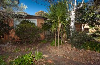 Frontyard (2012-08-28)