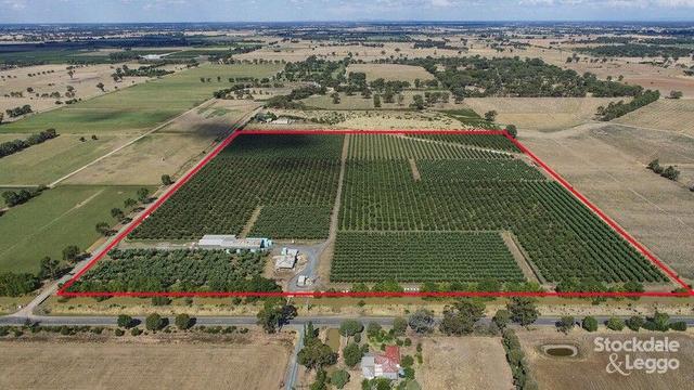 970 Byrneside - Kyabram Road, VIC 3618