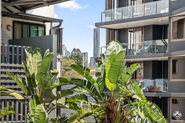 ID:21164554/139 Commercial Road, QLD 4005