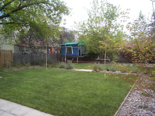 Rear yard