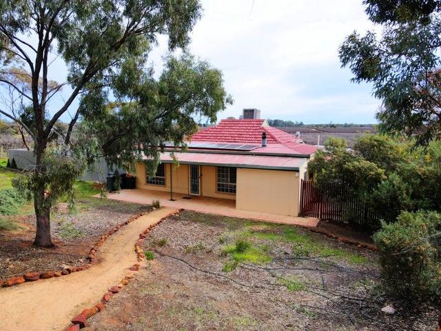 442 Dalziel Road, SA 5343