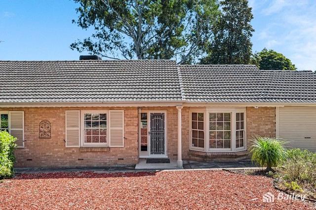 8 Launceston  Avenue, SA 5091