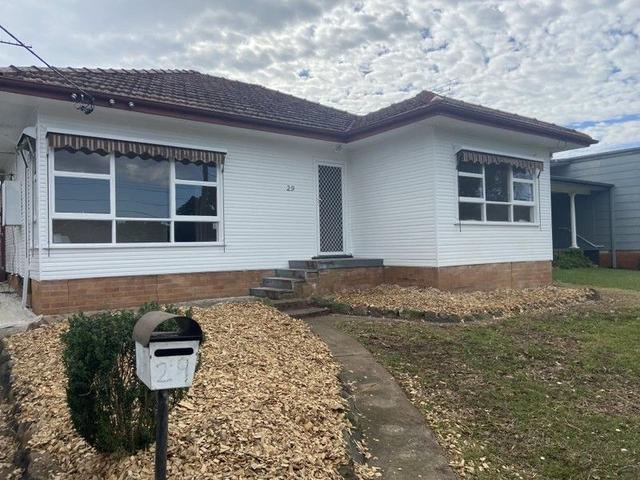 29 Reddan Avenue, NSW 2750