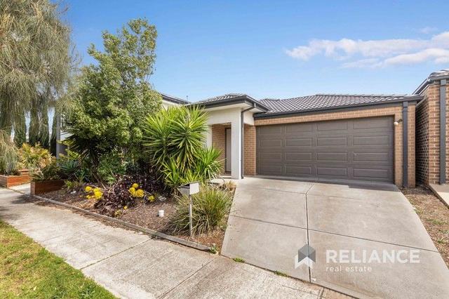 19 Elsham Grove, VIC 3029