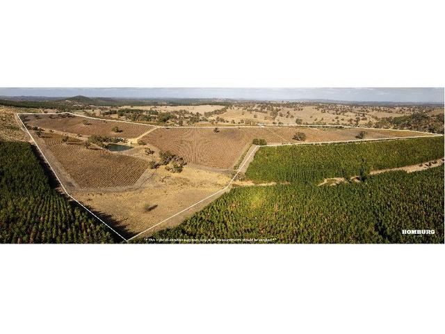 453 Springton Road, SA 5351