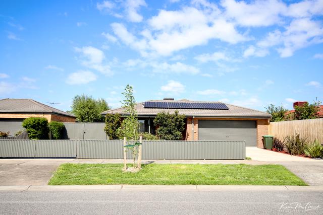 31 Stockman Way, VIC 3816