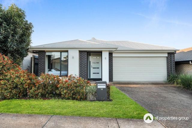 14 Latham Street, QLD 4207