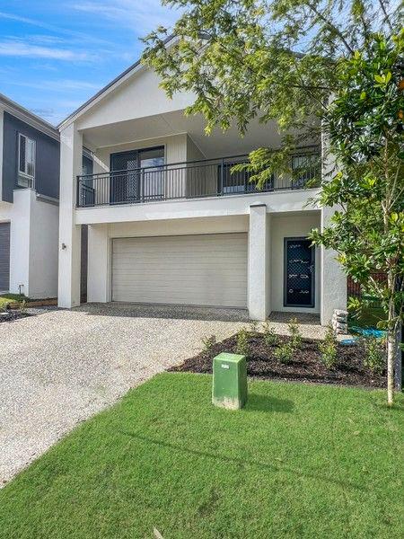 71 Palm Forest Circuit, QLD 4556