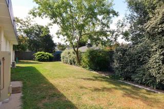 Backyard (2016-12-06)