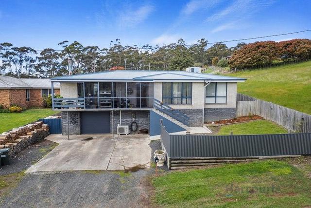 3 Ellis Street, TAS 7315
