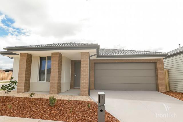 1 Brushtail Street, VIC 3024