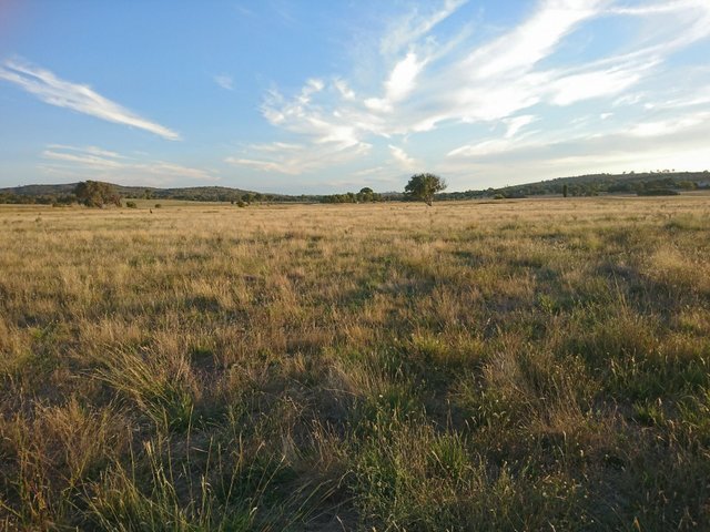 Lot 27 Walsh's Road, NSW 2581