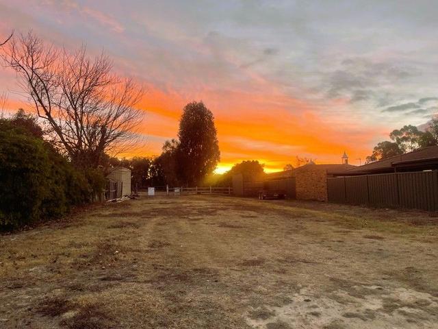 Elvins Street, VIC 3722