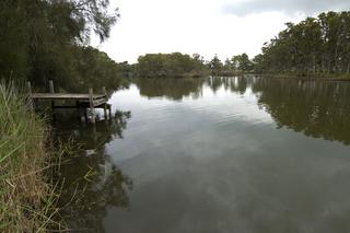 Lagoon