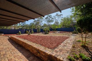 Front Garden (2020-02-04)