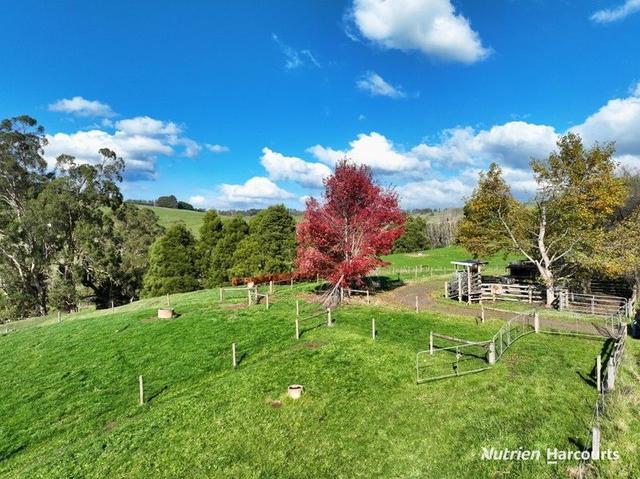 175 Fishers Road, VIC 3870