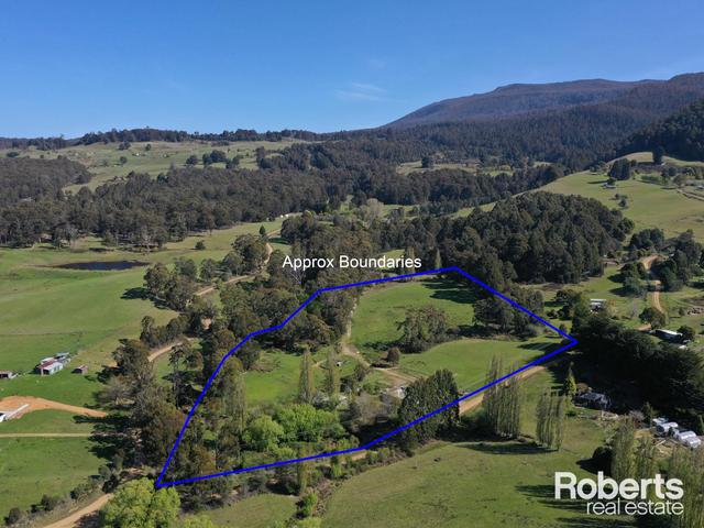 111 Dillons Road, TAS 7140