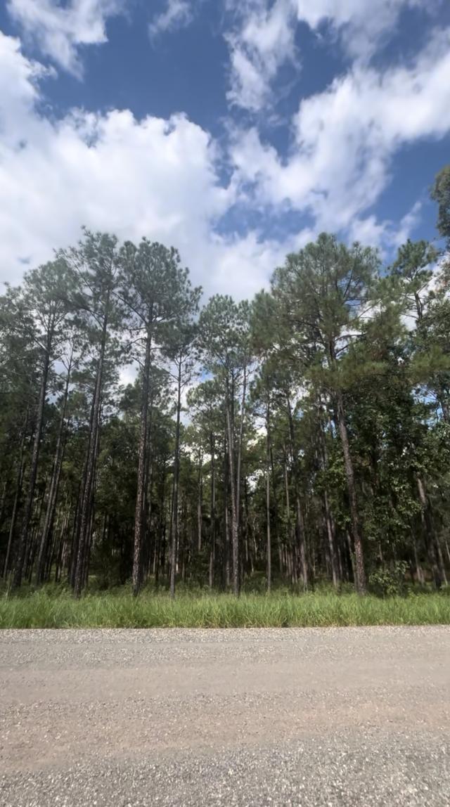 Lot 86 Arborfour Road, QLD 4570