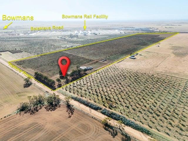 155 Kallora Road, SA 5550