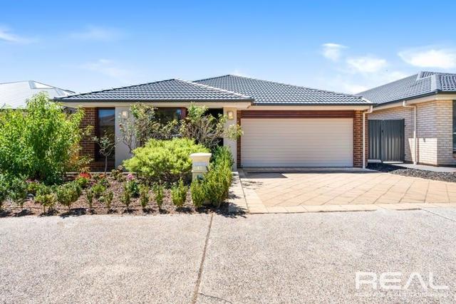 43 The Avenue, SA 5114