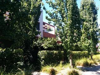 Street Frontage (2019-11-28)