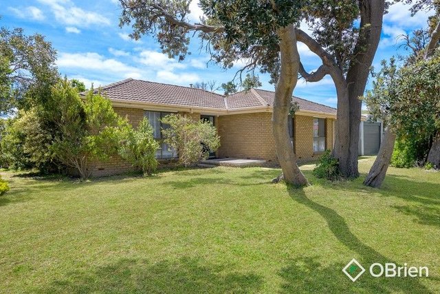 31 Fortescue Avenue, VIC 3198