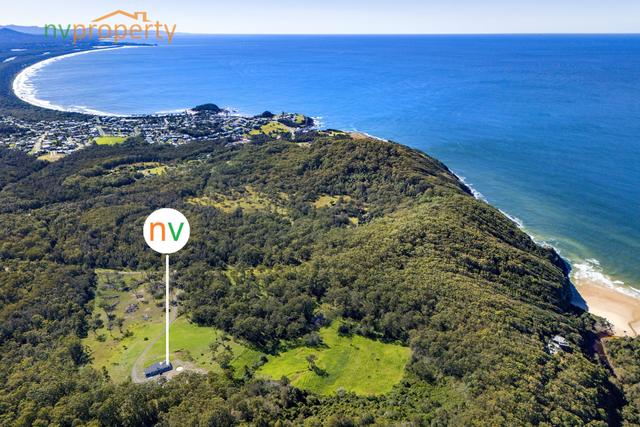1008 Scotts Head Road, NSW 2447