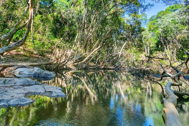 242 Ganyan Drive, QLD 4881