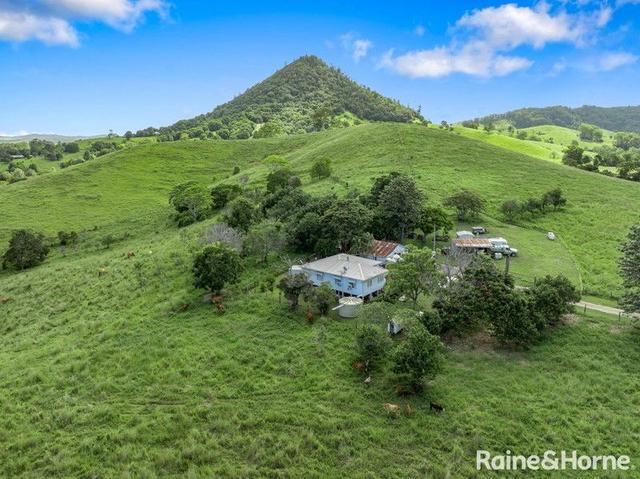 59 Upper Pinbarren Creek Road, QLD 4568