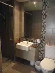 Bathroom (2011-12-02)