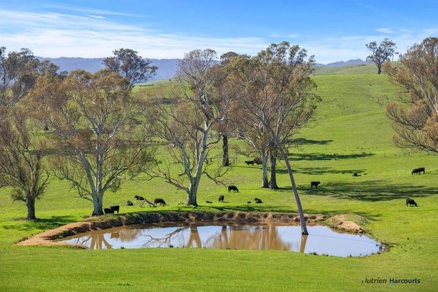 2222 Goulburn Valley Highway, VIC 3714