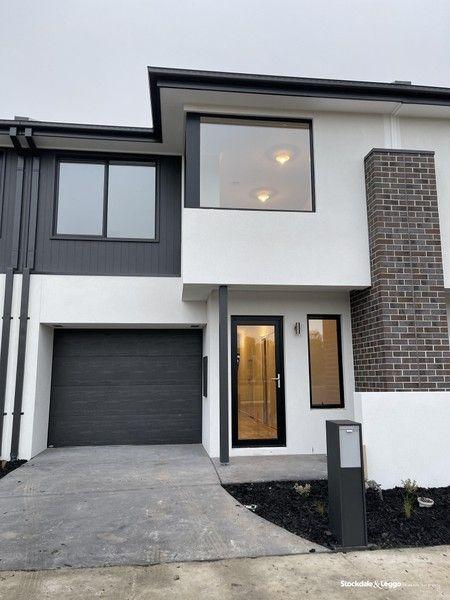 41 Flaxlilly Crescent, VIC 3809