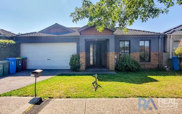 14 Vega Terrace, VIC 3977