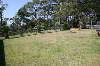 Backyard (2013-02-06)