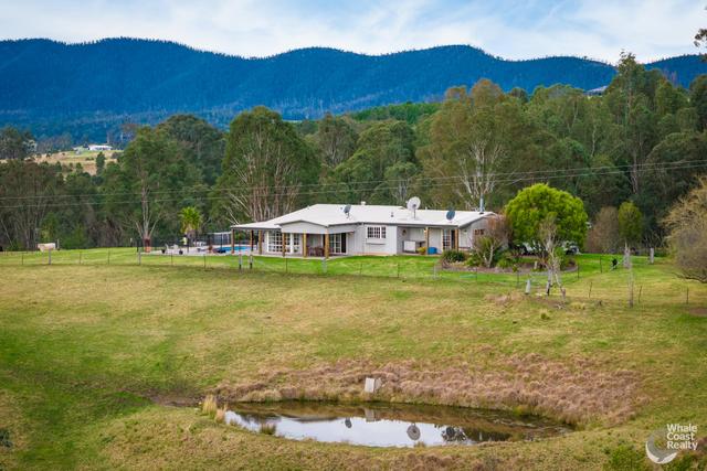 160 Link Road, NSW 2550