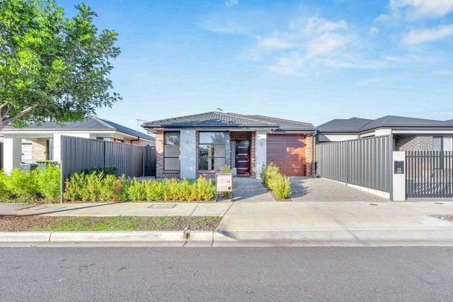 14 Bieg Street, SA 5008