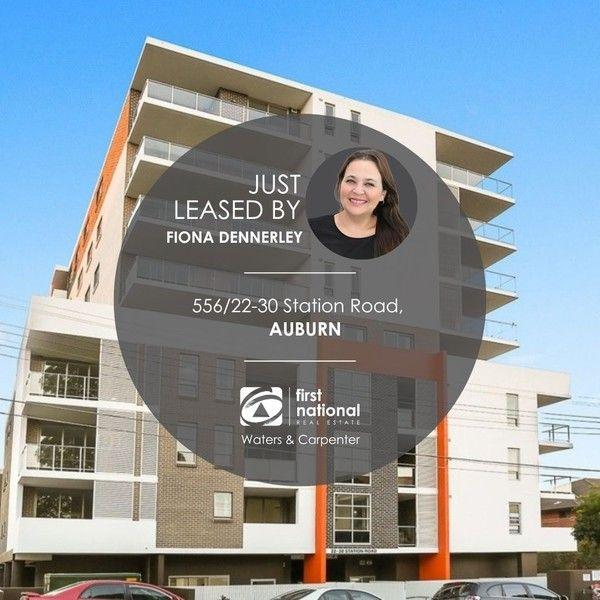 556/22-30 Station  Road, NSW 2144