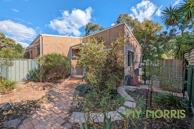 31 Greeves Street, ACT 2903