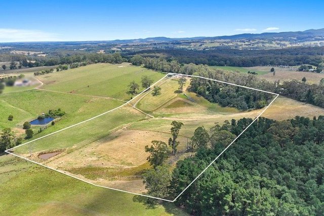 460 Old Telegraph Road, VIC 3821