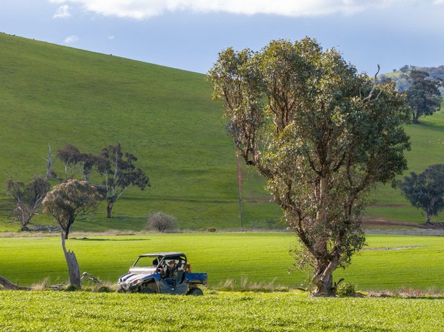 'Darmody's', 969 Brial Rd, NSW 2586
