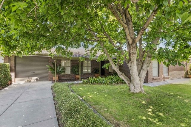 3 Clisby Street, SA 5081
