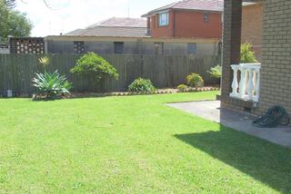 Common Yard Area