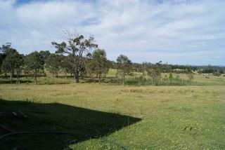View (2011-01-19)