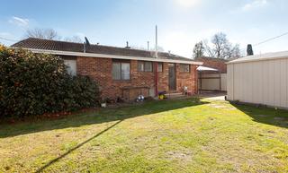 Backyard (2014-08-11)