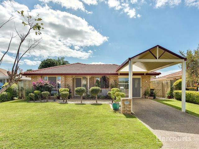 6 Rose Crescent, QLD 4018