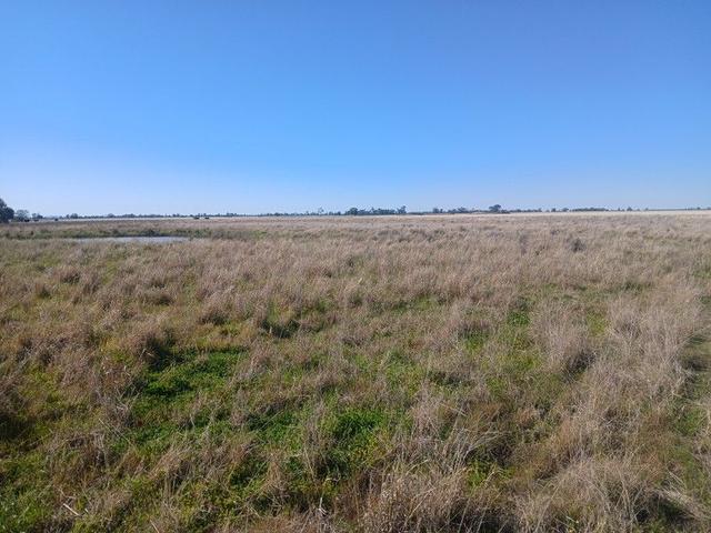 Willoughby 795 Armatree Road, NSW 2828
