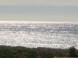 View (2005-11-16)